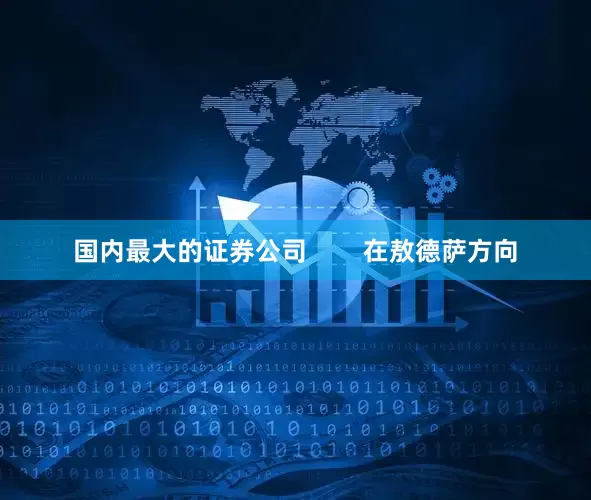 国内最大的证券公司        在敖德萨方向